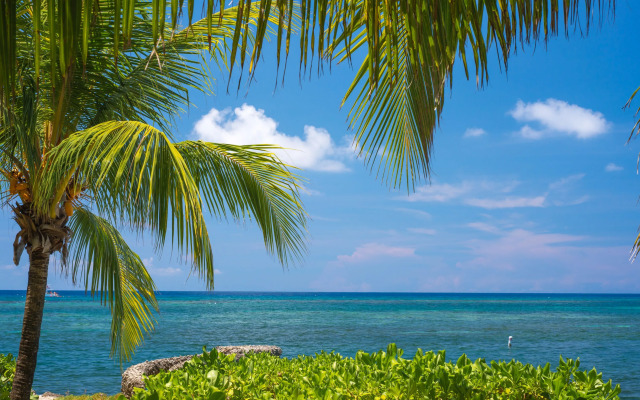 Las Rocas Resort And Dive Center