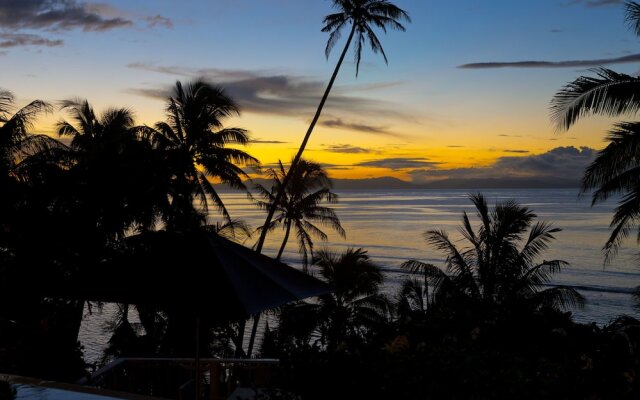 Taveuni Palms