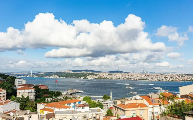 Central Apartment With Bosphorus View in Cihangir
