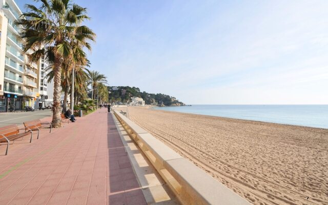 BTB By the Beach Zodiac