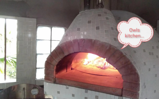 Real Owl Guest House