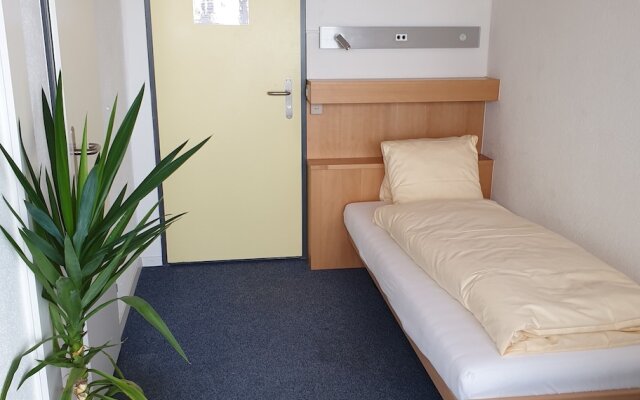 Erlebnisland Grizzlybär