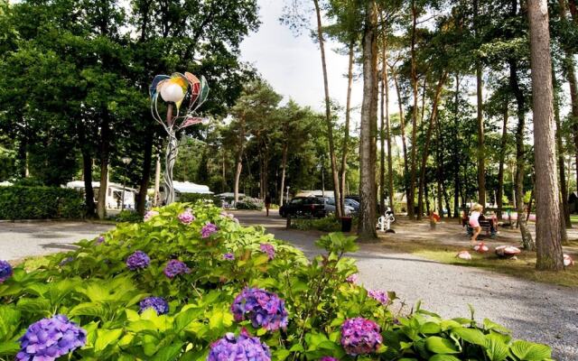 Cosy Forest Home With a Wood Burning Stove Near a Forest