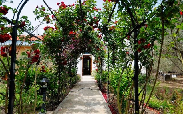 Olive Farm Of Datca