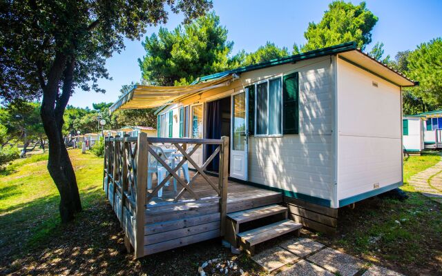 Arena Stoja Camping Homes