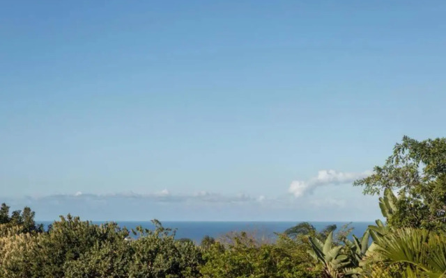 Sun n Surf Sunny and spotless 1 bedroom apartment