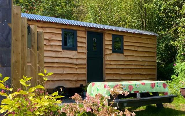Empress En Suite Wagon