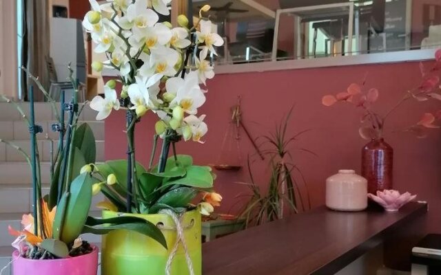 Hotel Villa Danci