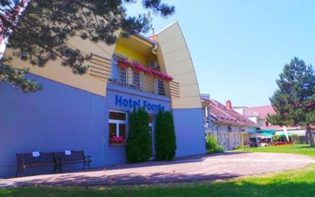 Hotel Forras