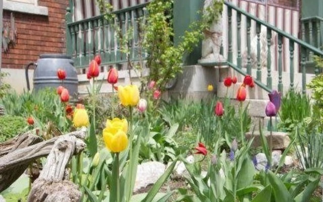 Downtown Bed and Breakfast