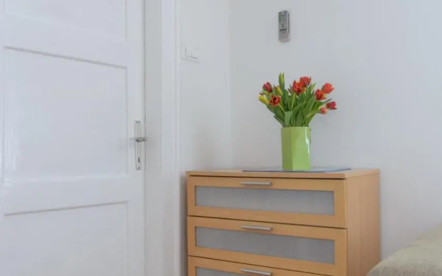 Apartment Oaza
