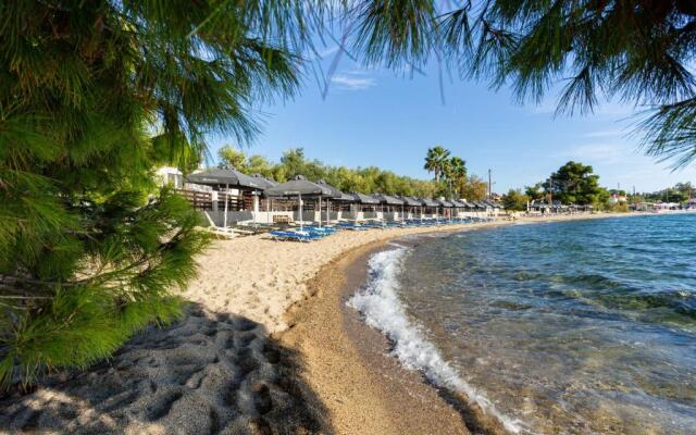 Paradisos Holiday