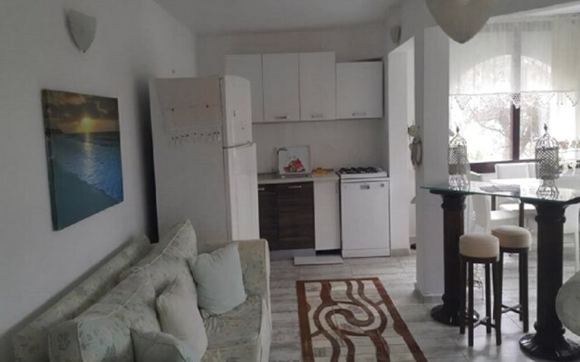 BO095 by Villaofsummer