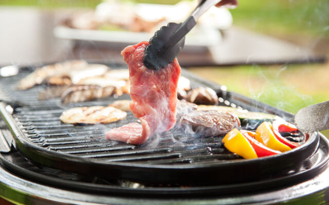 The Prince Villa Karuizawa