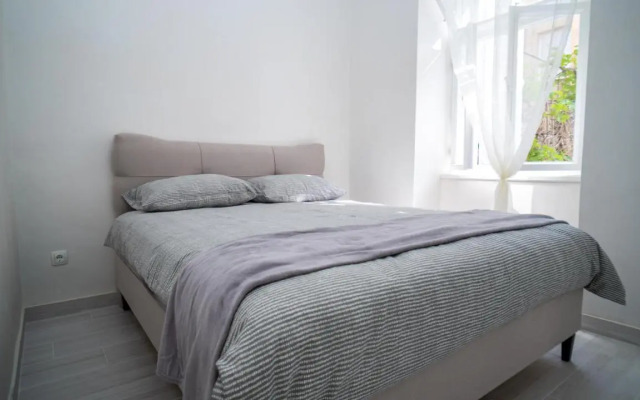 Max suite