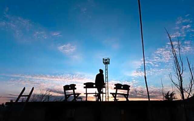 Dingo Backpackers Hostel