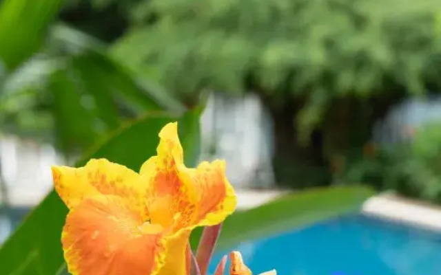 Hang Mua Sunset Bungalow