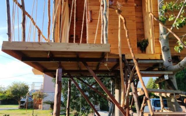 Dream catcher tree house