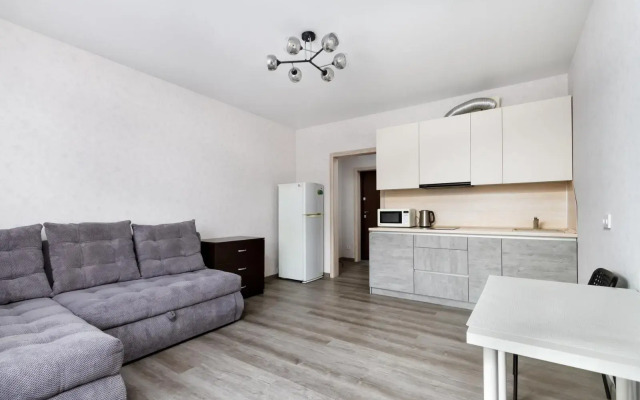 Апартаменты на улице Писарева 125