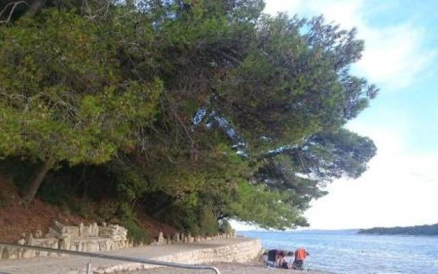 Apartman Zlatko, Palit, Rab