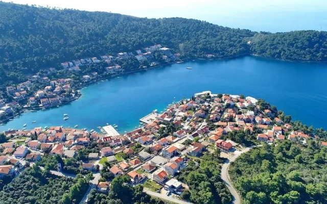 Apartments Peselj-studio Apartment With Balcony and Sea View