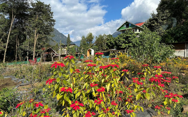 Limboo Homestay