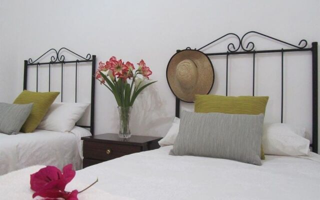 Concava Camp