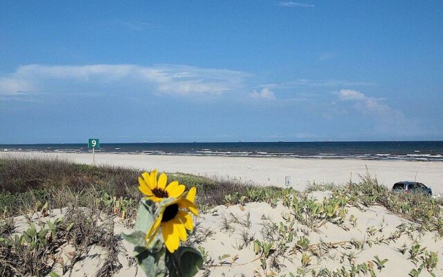 We Shell Sea 5Br Home