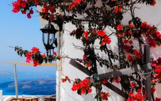 Le Petit Greek