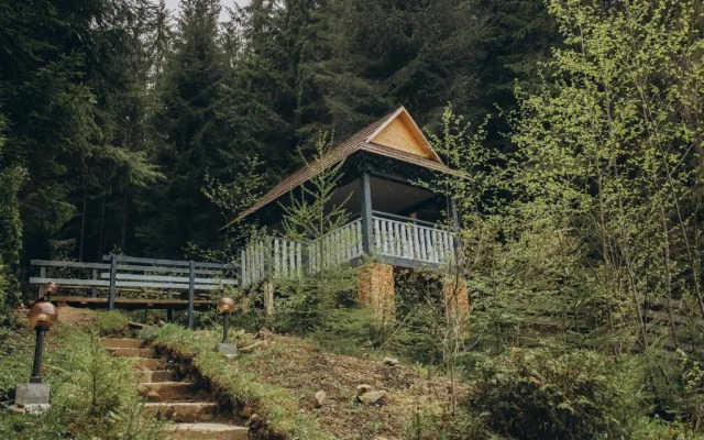 Vedmezhiy Dvir