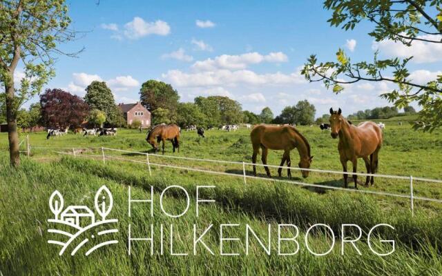 Hof Hilkenborg am Deich 75099