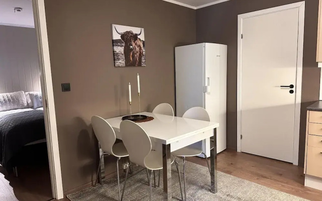 Apartment in the Center of Alta