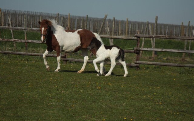 Gästehaus Osterhöll