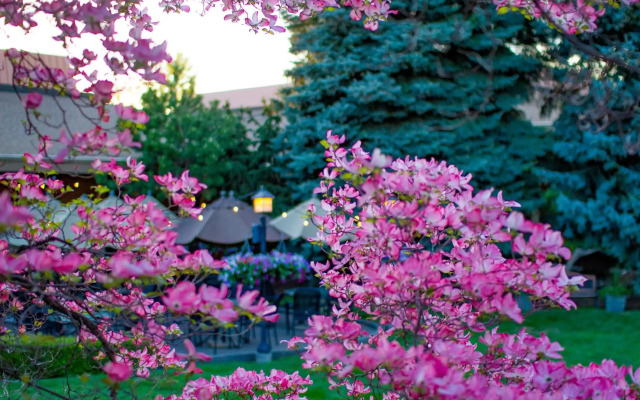 Mirabeau Park Hotel & Convention Center