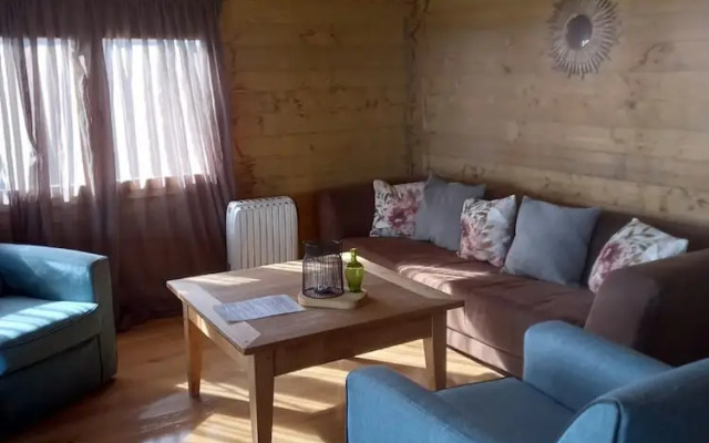 Jacuzzi, Cows, Dairyfarm, Relaxing, Sleeping