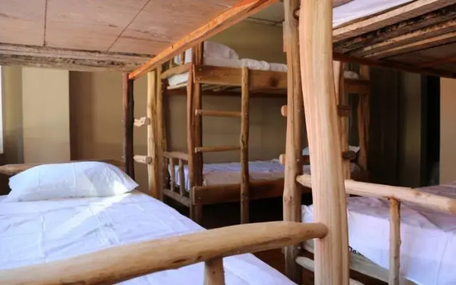 Golden Frog Hostel