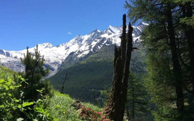 Sarazena Saas-grund in Saas-grund