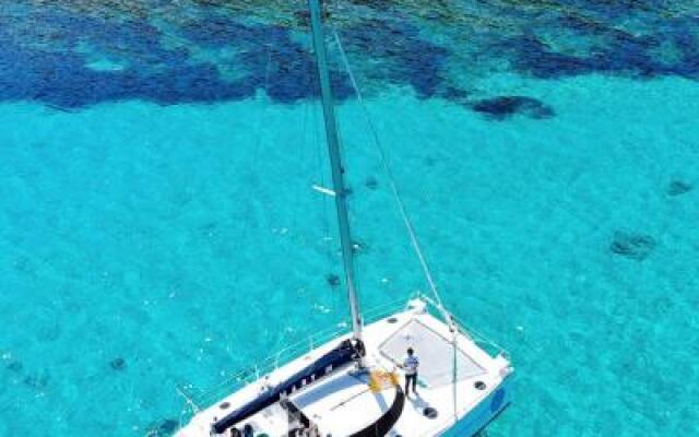 Amaremare BB