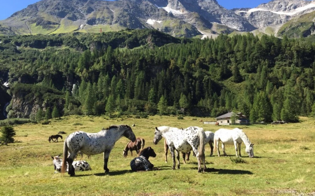 Gasthaus Maislau