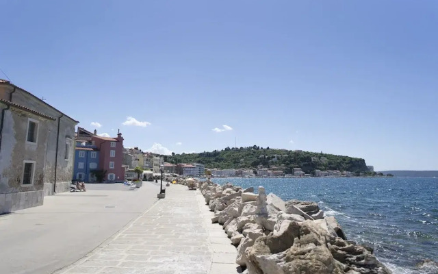 Punta Apartment KA 2.2