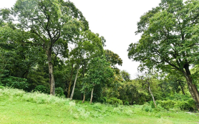 Oyo 44542 Woods View Inn