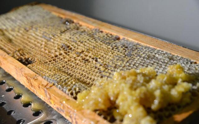 Rosslyn Central Park Hotel