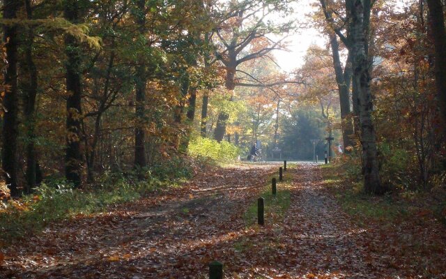 Semi-detached House With a Dishwasher, at 9 km van Slagharen