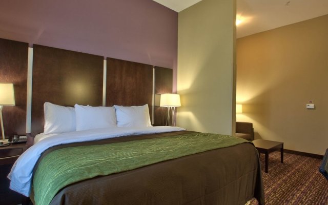 Comfort Inn & Suites Dothan East