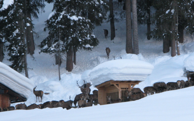 Balma Restaurant | Suites