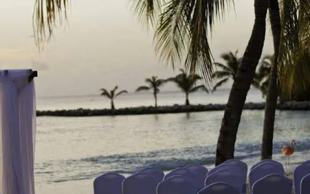 Renaissance Ocean Suites