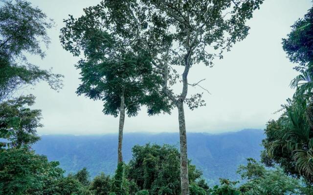 SaffronStays Cliff Haven, Wayanad