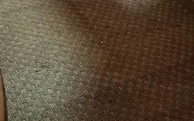 Hotel Glamping CM Mindfulness