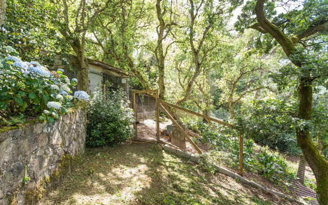 Quinta biológica, com vista, na Serra de Sintra