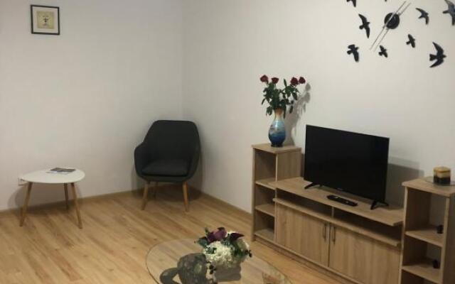 Apartament Kiseleff